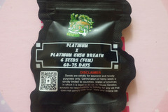 Sell: Platinum X Platinum Kush Breath - Inhouse Genetics