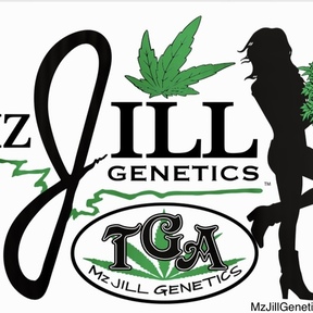 TGA MzJill Genetics