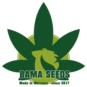 BAMA Seeds