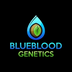 BlueBlood Genetics