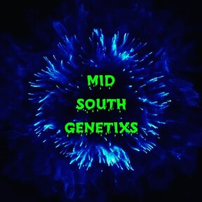 Mid south genetixs