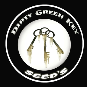 DGK Seeds