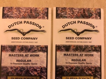 Trading: Durban poison regular seeds Dutch Passion Seeds 