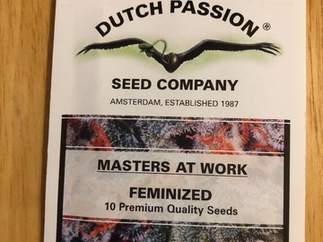 Trading: Khola-Feminised-Dutch passion seeds-10 pack