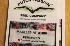 Trading: Oasis-feminised-dutch passion seeds-10 pack