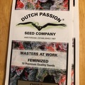 Trading: Oasis-feminised-dutch passion seeds-10 pack