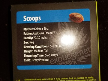 Sell: Exotic Genetix- Scoops