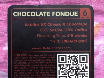 Trading: DNA Chocolate Fondue 6 pack fems 