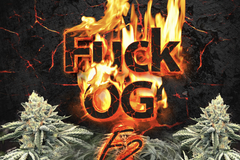Selling: Fuck OG F2 (Breeders pack)