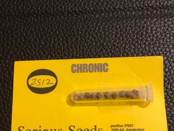 Trading: Serious Seeds Chronic Regular 13 Seed pack