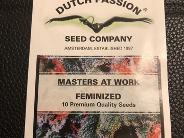 Trading: Dutch Passion Durban Poison  Feminised 10 Seed pack 