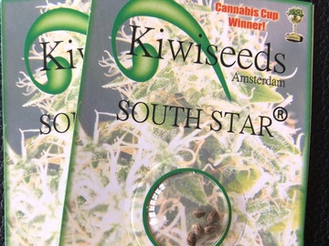 Trading: Kiwi Seeds South Star 10 Regular Seed pack