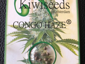 Trading: Kiwi Seeds Congo Haze   10 Regular Seed pack 