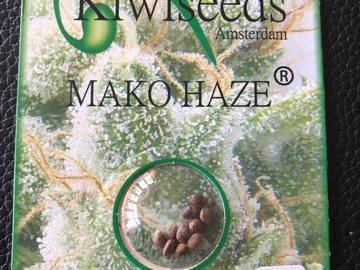 Trading: Kiwi Seeds Mako Haze10 Regular Seed pack 