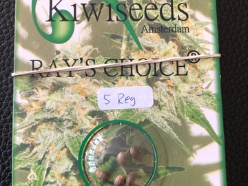 Trading: Kiwi Seeds Rays Choice 10 Regular Seed pack  