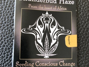 Trading: Holy Smoke Seeds Thunderbud Haze 10 Regular Seed pack