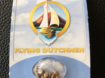 Trading: Flying Dutchman Early Durban Regular 10 Seed pack 
