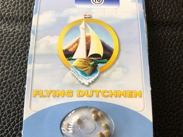 Trading: Flying Dutchman The Pure  Regular 10 Seed pack 