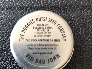 Trading: Doggies Nuts seeds  Big Bad John 10 Regular Seed pack