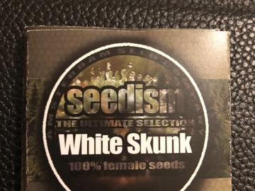 Trading: Seedism Seeds white skunk Feminised 5 Seed pack 