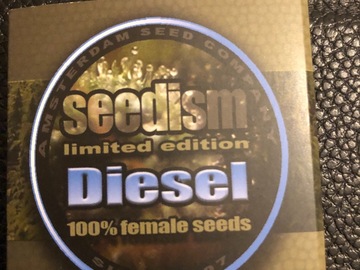 Trading: Seedism  Seeds Diesel  Feminised 5 Seed pack  
