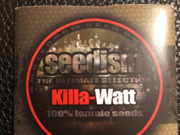 Trading: Seedism  Seeds KILLa-Watt Feminised 5 Seed pack   