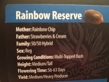 Selling: Rainbow reverse (exotic genetics)