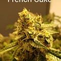 Sell: French Cake 10 pack regs