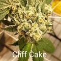 Sell: Cliff Cake 10 pack regs