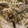 Vente: Docs Cake 10 pack regs