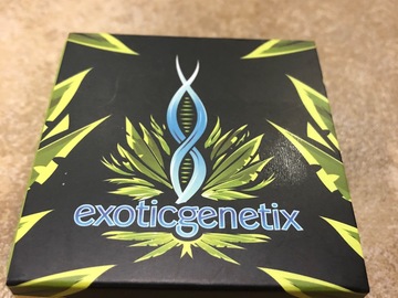 Selling: Exotic Genetix - Scoops