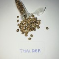 Selling: Thailand Reproduced - 12 pack
