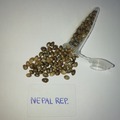 Selling: Nepalese Reproduced  - 12 pack