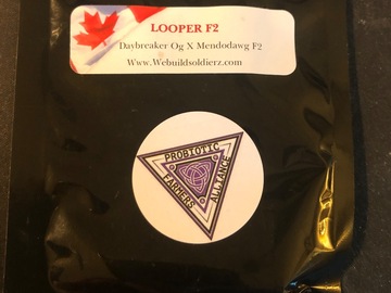 Proposer ($): Looper F2 - Omuerta Genetics