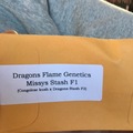 Venta: Dragons Flame Genetics>>  MISSY’S STASH