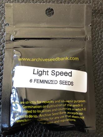 Archive Light Speed feminized pack - Strainly