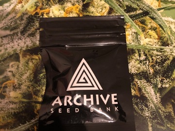 Trading: Archive Seeds Dosidos #13  regular pack 