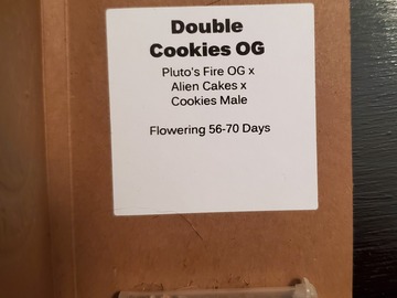 Vente: Scapegoat Genetics - Double Cookies Og