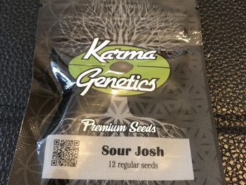 Trading: Karma Genetics sour Josh regular 12 pack