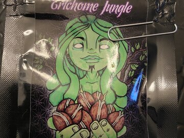 Providing ($): Trichome Jungle Seeds - Ginger Bread