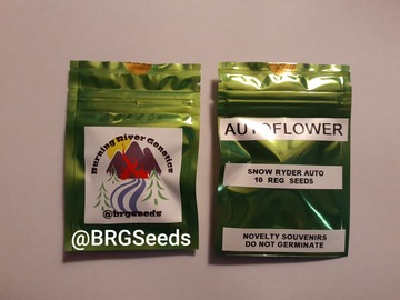 Providing ($): Snowryder 10 Pack Autoflower Regular Seeds plus a Free 4 Pack!!