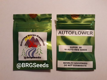 Providing ($): Super 90 Autoflower 10 Pack Regular (m/f) Seeds plus Free 4 Pack