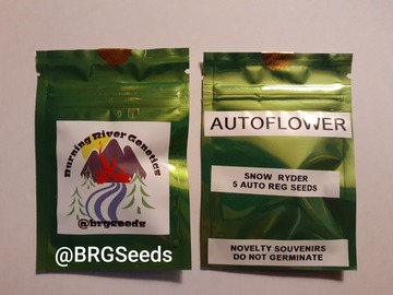 Providing ($): Snowryder 5 Pack Autoflower Regular Seeds plus a Free 2 Pack!!