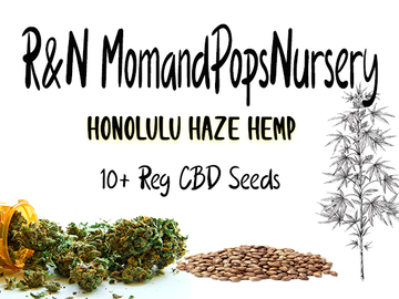 Providing ($): High CBD  Honolulu Haze  10+ Beans
