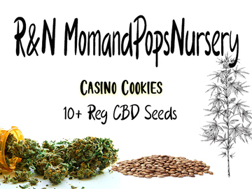 Providing ($): High CBD   Casino Cookies  10+ Beans