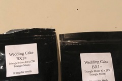 Selling: Wedding Cake Pollen 
