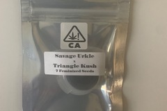 Providing ($): Savage Urkle X Triangle Kush CSI Humboldt