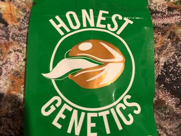 Échange: Honest Genetics Mendo Punch