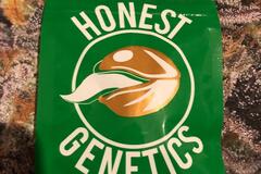 Trading: Honest Genetics Mendo Punch