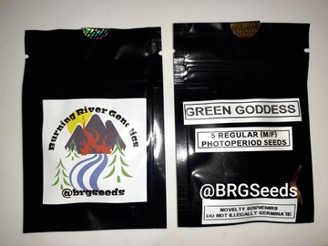 Providing ($): Green Goddess 5 Pack Regs plus FREEBIES!!